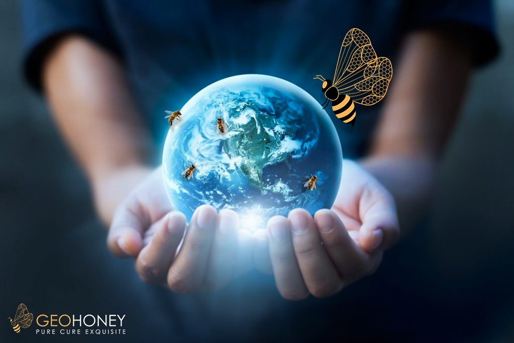 Geohoney : An Organization with a Global Mission